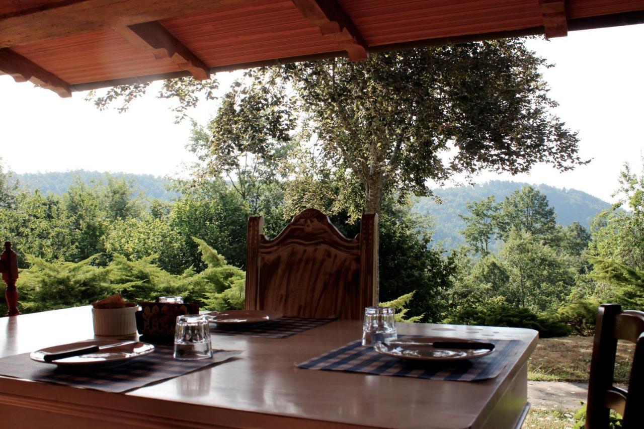 Borgo Caiano Country Inn エクステリア 写真